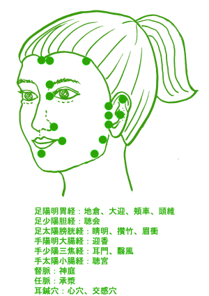 顔と耳のツボ図