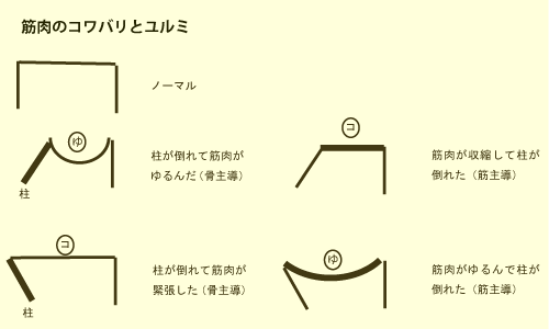 筋肉のコワバリとユルミ画像