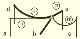 筋・骨連鎖図5