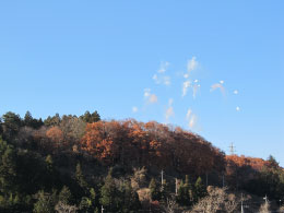 晴天下の花火