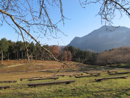 羊山公園から見た武甲山