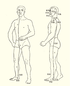 陽蹻脈と陰蹻脈の図